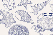 Seashells and seafood Illustrations, a Food Illustration by MargauxQuercy (Thumbnail 5 of 5)