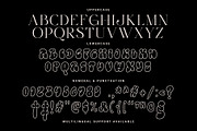Punk Idols – Serif & Throw Up Font, a Serif Font by Prioritype Co (Thumbnail 10 of 10)