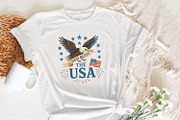 God Bless America PNG, 4th of July, an Illustration by SharpMarketplace (Thumbnail 7 of 9)