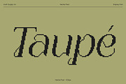 Nerilla Pixel, a Serif Font by Craft Supply Co. (Thumbnail 2 of 8)