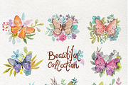 Butterflies and plants, collection, an Illustration by JaneLane (Thumbnail 3 of 5)