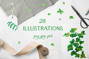 Crayon Ivy & Grape Vine Clipart, a Healthcare Illustration by Lucyinyourheart