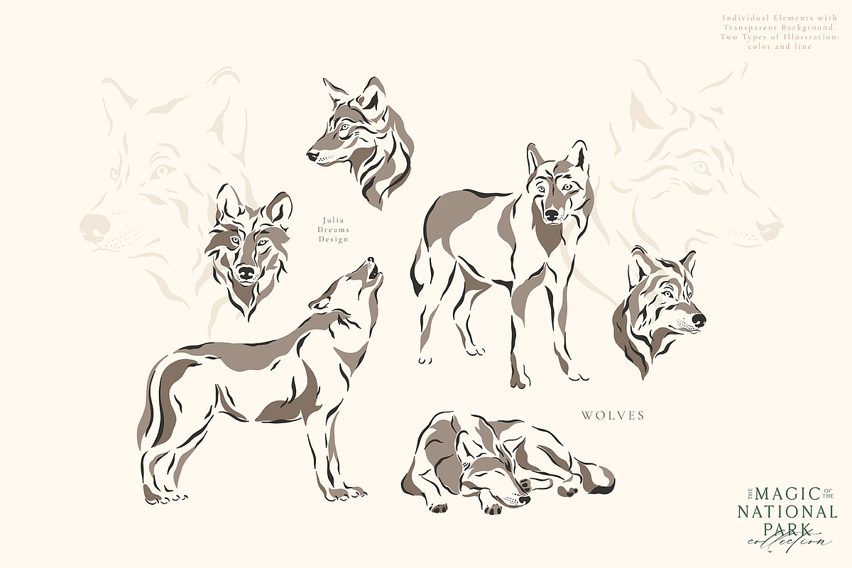 The Magic of the National Park, an Animal Illustration by Julia Dreams