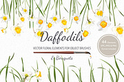 Vector object brushes. Daffodils, a Brush Add-On by Peolla (Thumbnail 1 of 11)