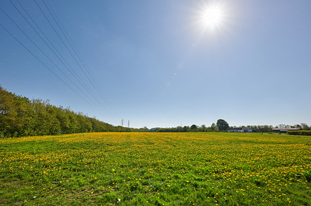 A  photo of the countryside at summertime, a Photo by Peopleimages.com