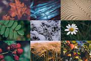 Landscape & Nature: 333 Stock Photos, a Nature Photo by PhotoMarket (Thumbnail 3 of 18)