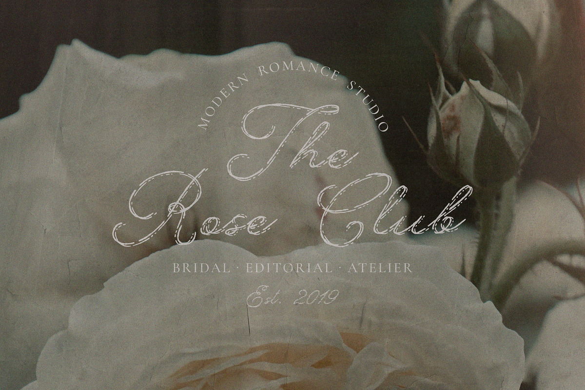 Something Else Textured Script, a Script Font by AnMark (Photo 8 of 10)