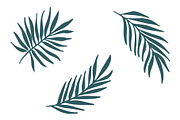 Vector Plant & Leaf Graphics, a Background Graphic by Dorey Kronick Art&Design (Thumbnail 12 of 19)