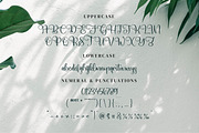 Qianetta, a Script Font by Integritype Studio (Thumbnail 9 of 15)