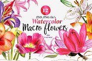 Over 120PNG watercolors, an Illustration by Alisa Mikibith Art (Thumbnail 3 of 15)