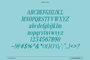 VS Teen Edition – Retro Serif Font, a Serif Font by Vicarel Studios (Thumbnail 9 of 21)