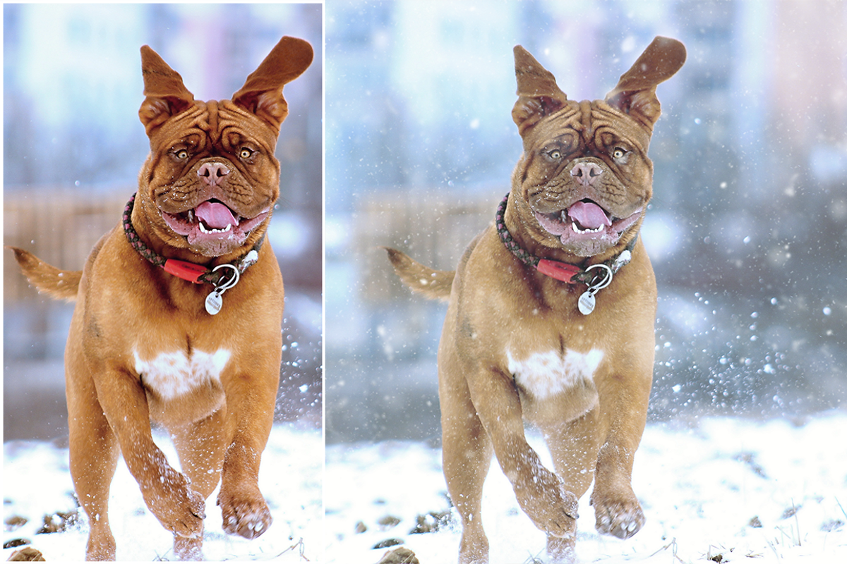 Snow Photoshop Action, an Action Add-On by LUXDesignStudios (Photo 4 of 7)