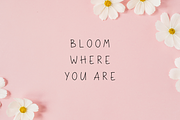 Squirrel Quirky Font, a Handwritten Font by Sofia Skoog (Thumbnail 9 of 10)
