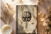 SURREAL ASYLUM JUNK JOURNAL PAGES, a Person Illustration by Daring Digies (Thumbnail 7 of 7)