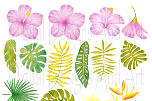 Tropical Flower Clipart And Patterns