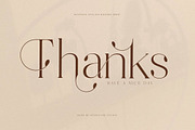 Bastiken Stylish Modern Serif, a Serif Font by Storytype Studio (Thumbnail 15 of 15)