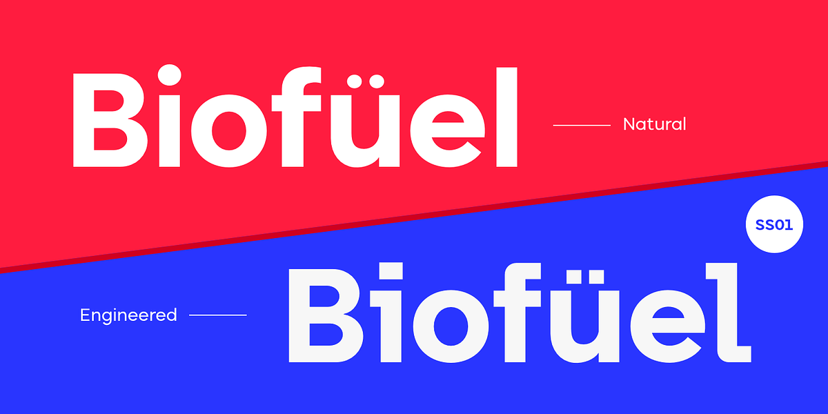 Biotic, a Sans Serif Font by TypeUnion (Photo 2 of 15)