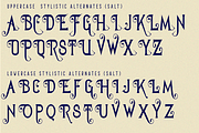 Geajer Font, a Serif Font by 177Studio (Thumbnail 5 of 7)