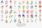 Flower Clipart Huge Bundle, a Decorative Illustration by Patishop Art (Thumbnail 8 of 11)