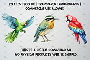 Watercolor Tropical Birds Clipart, an Animal Illustration by CropUp Creative (Thumbnail 5 of 5)