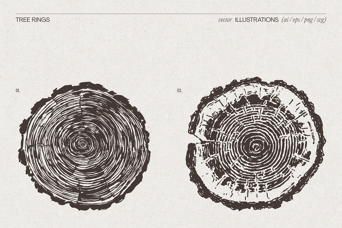 Tree Rings Wood Sketches, a Decorative Illustration by TheMountBirdStudio (Photo 3 of 5)