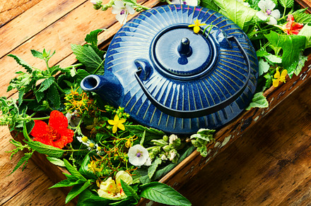 Teapot with fresh medicinal herbs, a Food & Drink Photo by MLunov MLunov