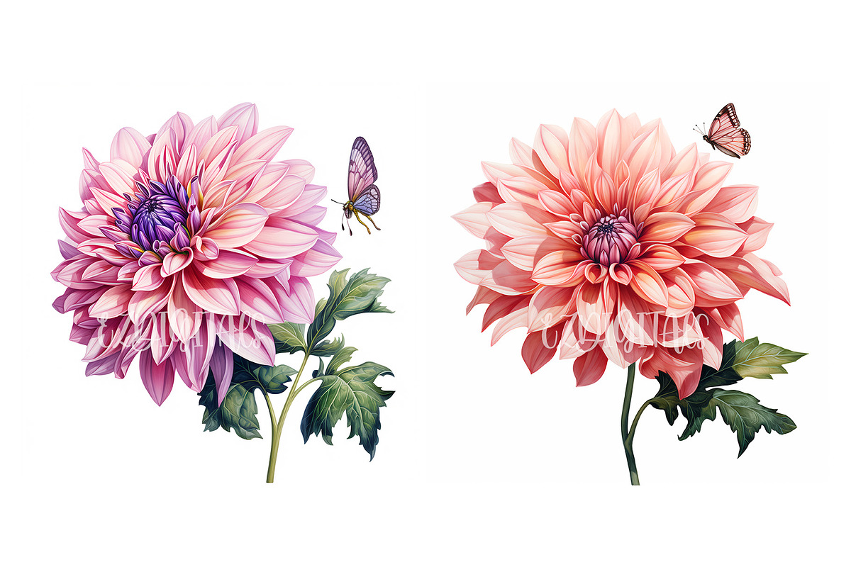 Dahlia Flower and Butterfly Clipart, an Object Graphic by EzDigitals (Photo 2 of 8)