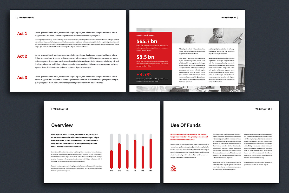 White Paper Template, a Brochure Template by ArtisticLand (Photo 6 of 11)