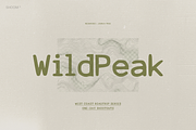 Lyric Mono: Cozy Monotype, a Sans Serif Font by SHOOM HOUSE (Thumbnail 9 of 12)