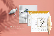Elegant Botanical Set, an Illustration by TL Design (Thumbnail 6 of 18)