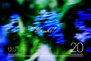 Blurry gradient flower backgrounds, a Background Graphic by LiiaLonn Studio (Thumbnail 7 of 7)