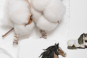 20 Horse Clipart, an Animal Illustration by Pati Charm Studio (Thumbnail 8 of 8)