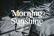 Slabery, a Serif Font by Zaloma Studio (Thumbnail 6 of 18)