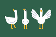 Cute goose. Funny birds, kids set, an Animal Illustration by Good Studio (Thumbnail 4 of 7)