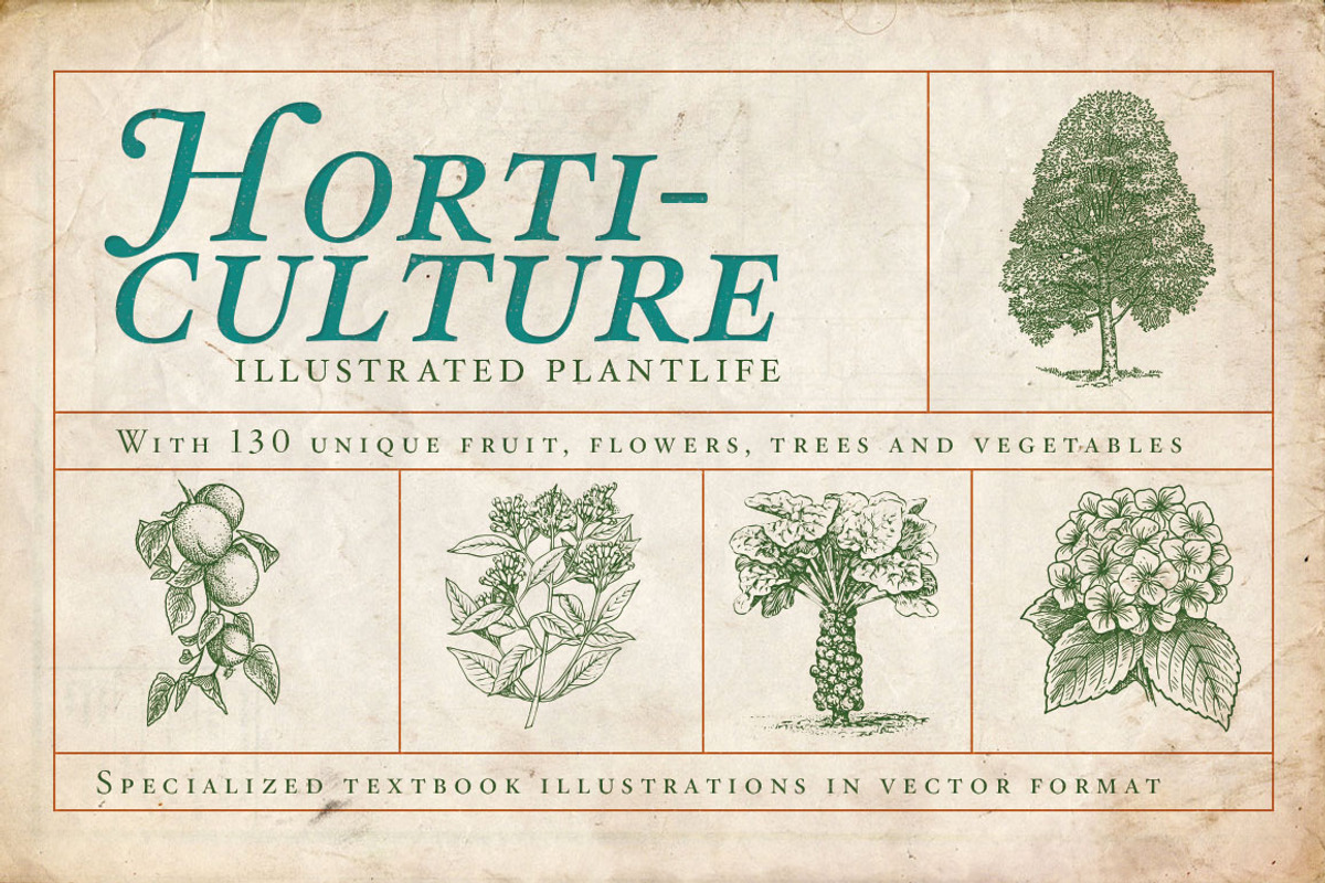 Horticulture - 130 plant vectors, an Education Illustration by BlackBird Foundry (Photo 1 of 3)
