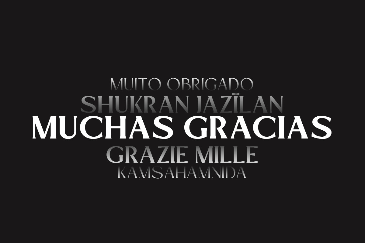 Mizhon Flare | 12 Fonts, a Serif Font by Skinny Type (Photo 8 of 8)