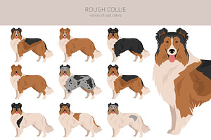 Rough Collie Clipart