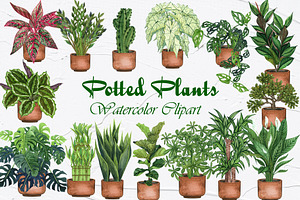 Potted Plants Watercolor clipart, an Object Illustration by BarvArt