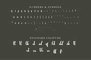Janellyssa - Brush Calligraphy, a Handwritten Font by Indotype Foundry (Thumbnail 6 of 10)