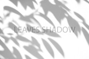 Leaves Shadow on Wall Background., a Background Graphic by kaisorn (Thumbnail 3 of 8)