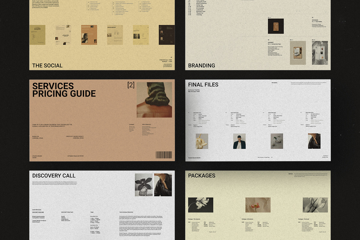 MIA I Services&Pricing Guide, a Presentation Template by Studio Brand (Photo 1 of 8)