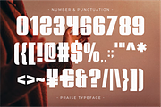 Praise - Condensed Sans Serif, a Sans Serif Font by Pian45 Studio (Thumbnail 6 of 8)