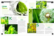 Magazine Template InDesign 02, a Magazine Template by Love Graphic Design (Thumbnail 27 of 36)