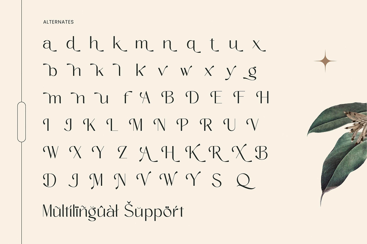 Amira Monte Elegant Display Font, a Sans Serif Font by timelesstype.co (Photo 19 of 20)