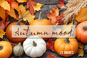 Autumn mood - 23 images, a Nature Photo by Ligrenok Art (Thumbnail 1 of 5)