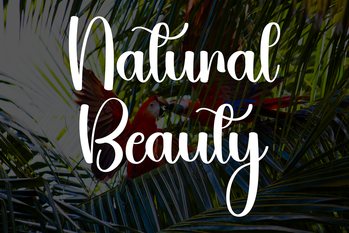 King Jungle, a Handwritten Font by InermediaSTUDIO (Photo 7 of 8)