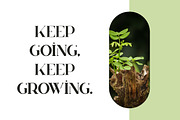 Huova Serif Typeface | 8 fonts, a Serif Font by VP Fonts (Thumbnail 5 of 10)