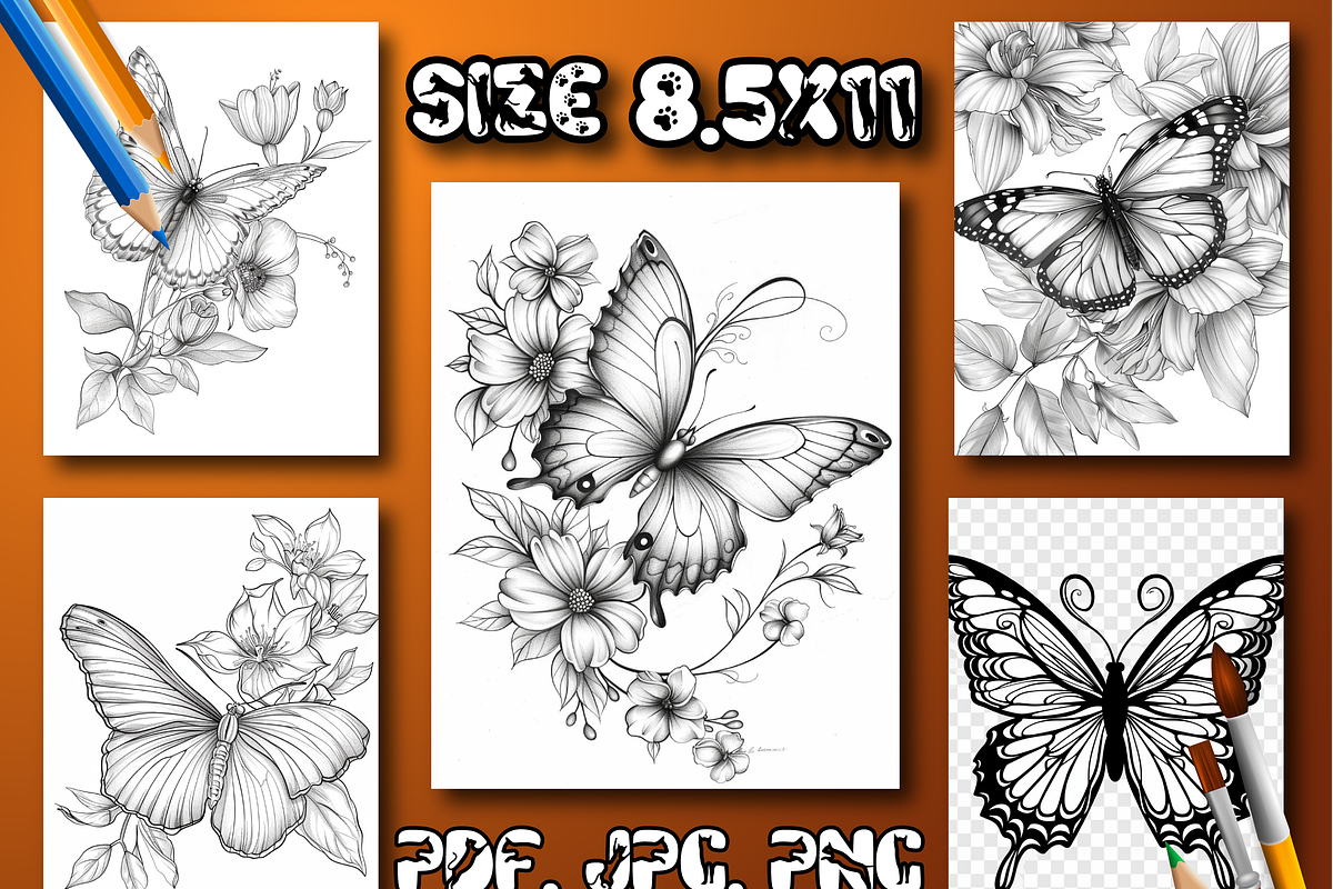 Butterfly Coloring Book for Adults, an Animal Illustration by Design Home (Photo 4 of 7)