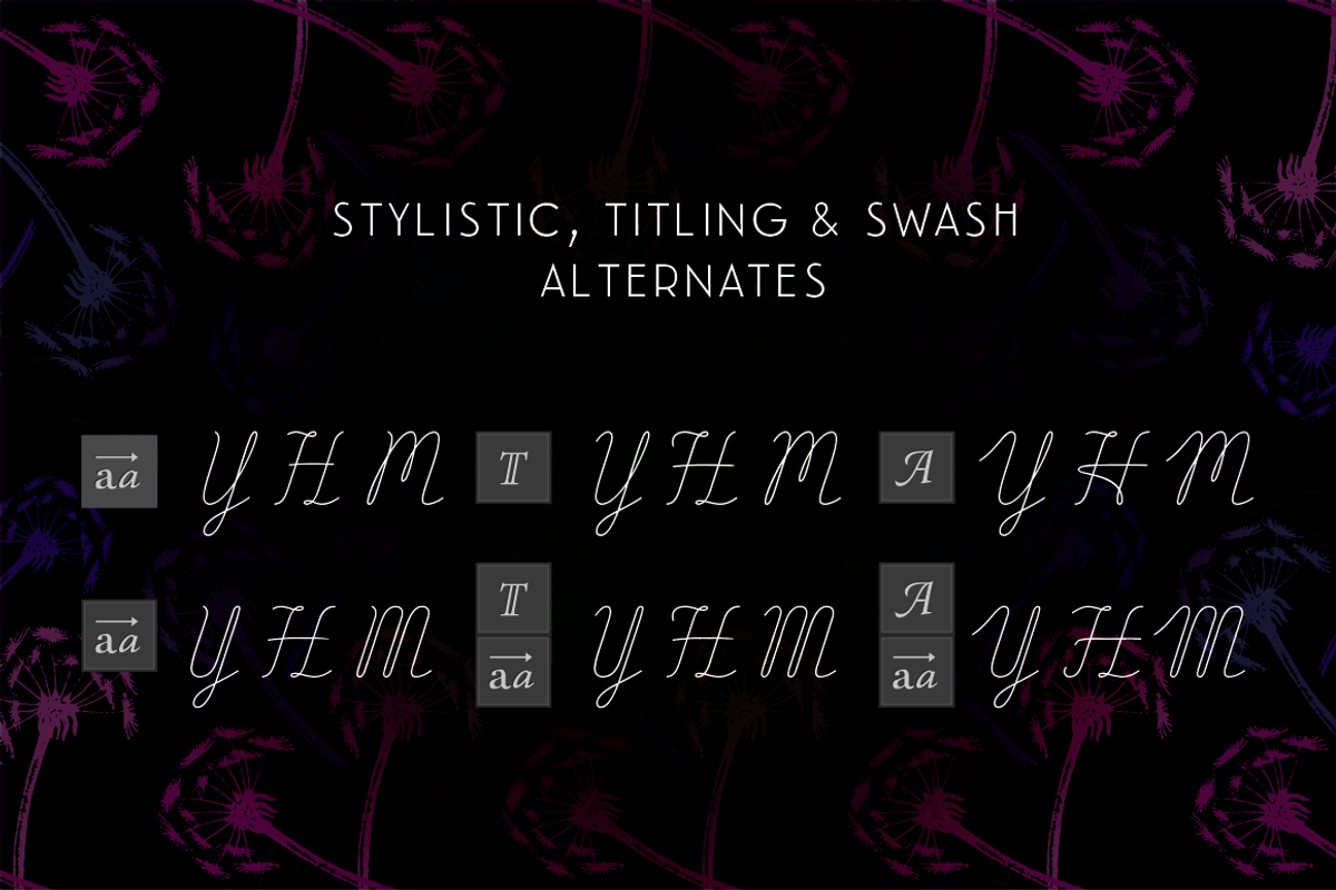 BLACK FRIDAY Delirio Font Family, a Script Font by graffistyling (Photo 14 of 20)