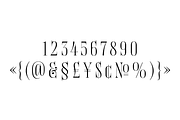 Ghost Dancer, a Serif Font by Yury Veselov (Thumbnail 4 of 8)